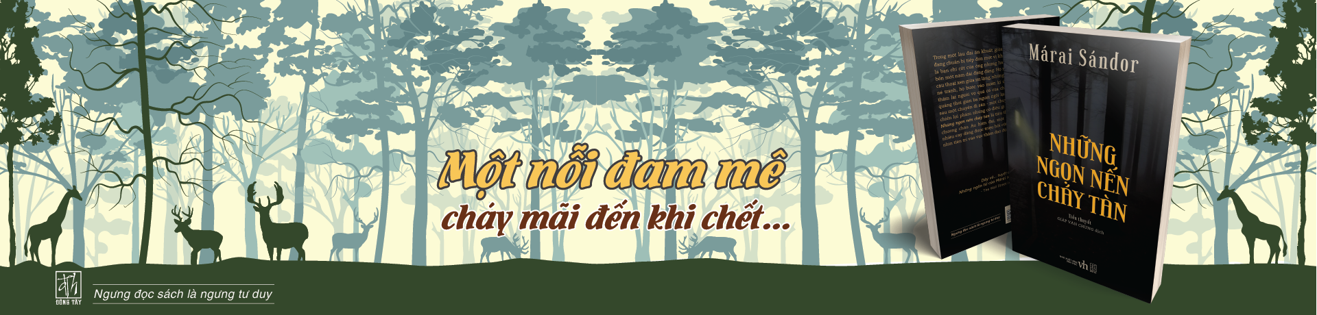 khong gian van hoa dong tay